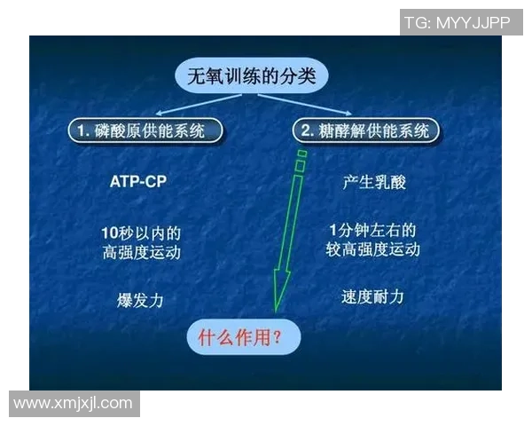 成都羽毛球队反击战术解析与实战应用探讨